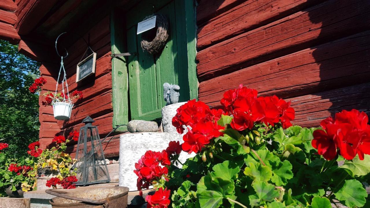 Villa Vuorenpaeae Tammela Zewnętrze zdjęcie