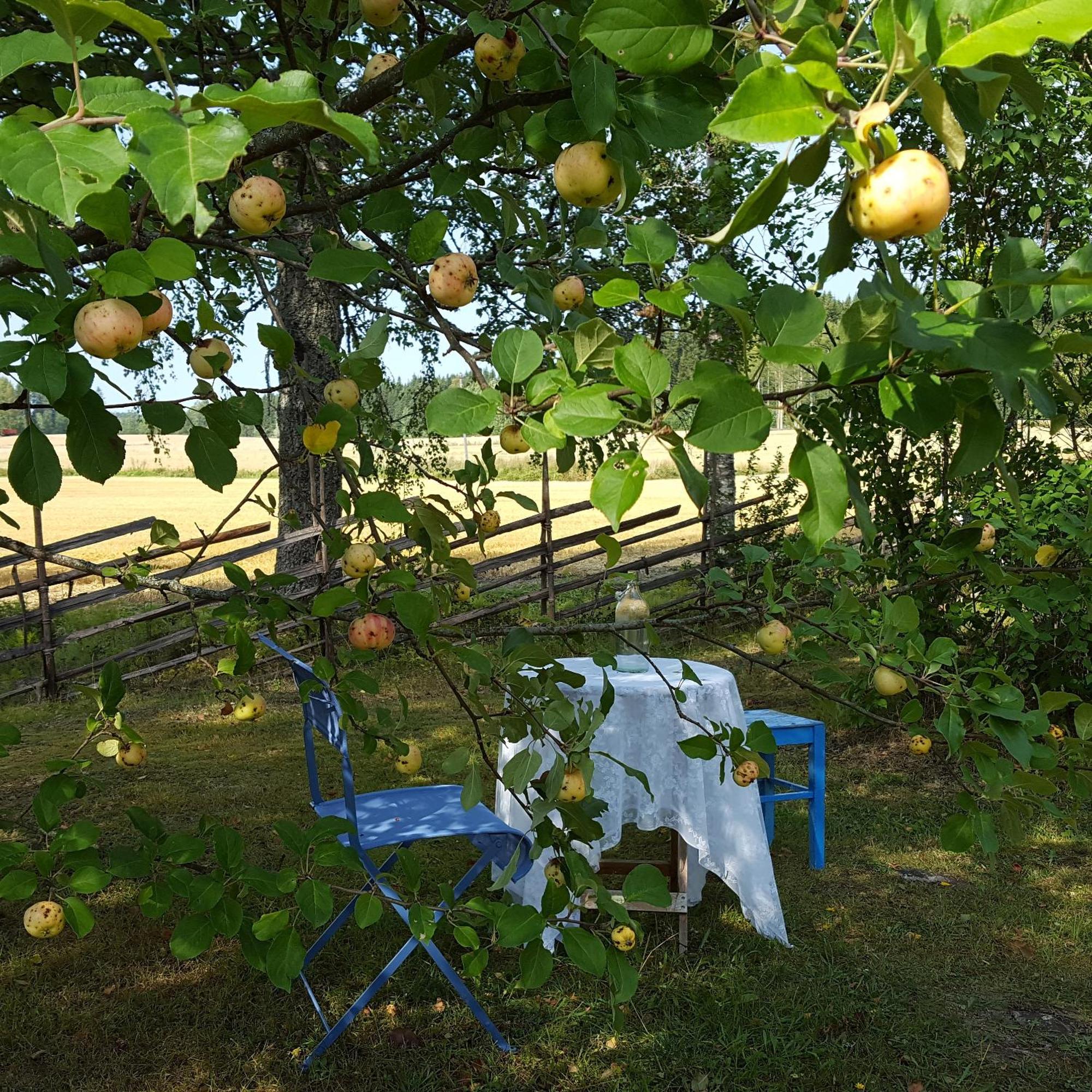 Villa Vuorenpaeae Tammela Zewnętrze zdjęcie