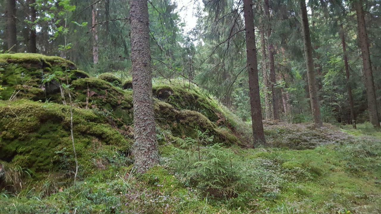 Villa Vuorenpaeae Tammela Zewnętrze zdjęcie
