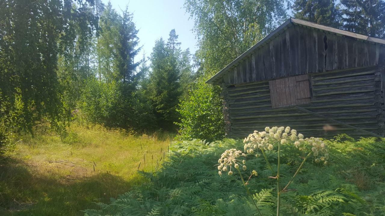 Villa Vuorenpaeae Tammela Zewnętrze zdjęcie